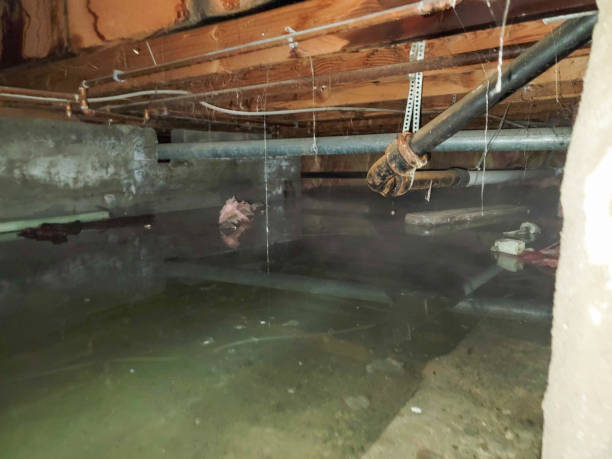 Best 24-hour water damage restoration  in Kankakee, IL