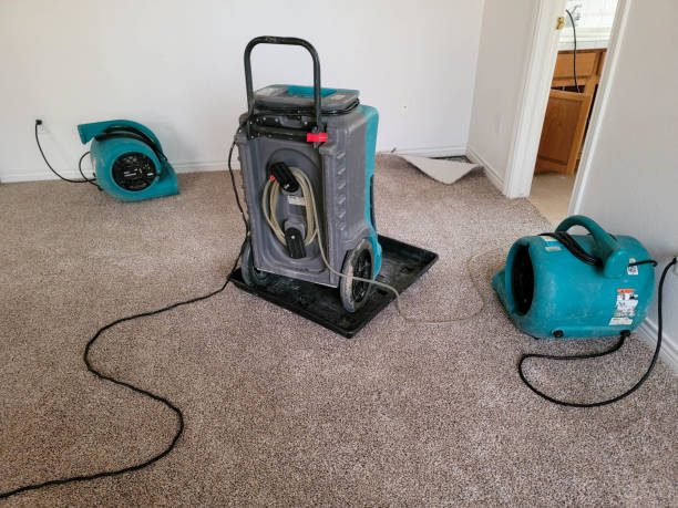Best Mold removal after water damage  in Kankakee, IL