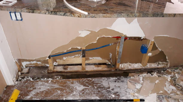 Best Water damage contractors near me  in Kankakee, IL