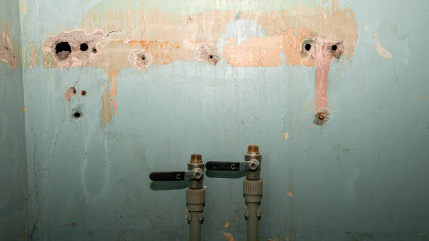 Best Local water damage restoration  in Kankakee, IL