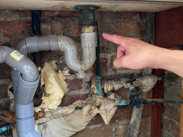 Best Water damage restoration specialists  in Kankakee, IL