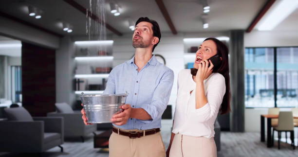 Best Carpet water damage restoration  in Kankakee, IL